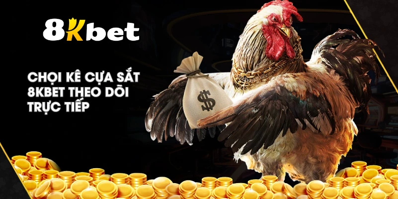 Chọi Kê Cựa Sắt 8KBET theo dõi trực tiếp
