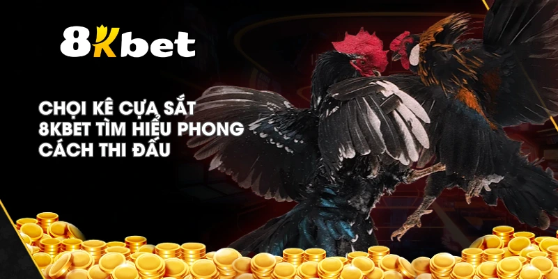 Chọi Kê Cựa Sắt 8KBET tìm hiểu phong cách thi đấu