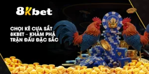 Chọi Kê Cựa Sắt 8KBET – Khám phá trận đấu đặc sắc