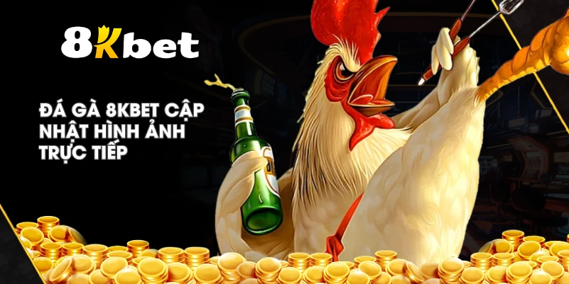 Đá Gà 8KBET cập nhật hình ảnh trực tiếp