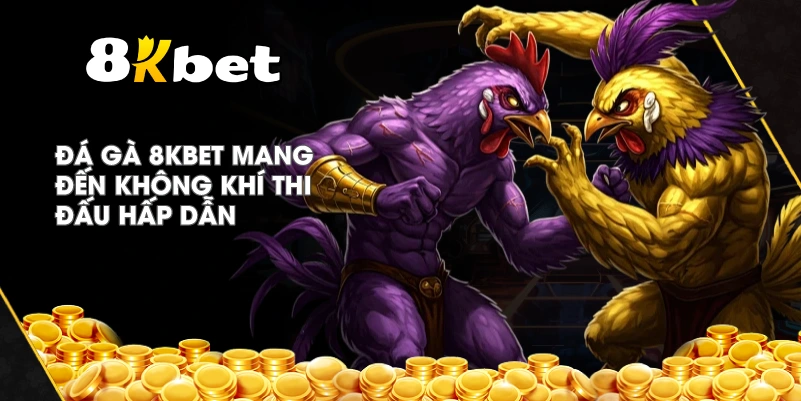 Đá Gà 8KBET mang đến không khí thi đấu hấp dẫn