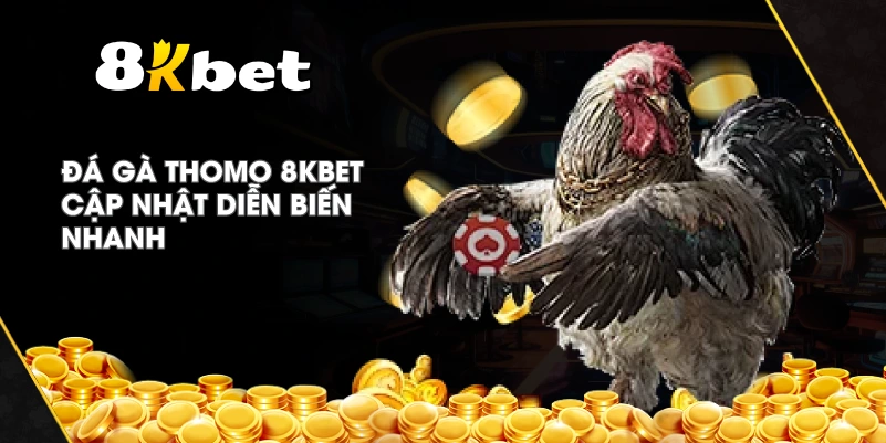 Đá Gà Thomo 8KBET cập nhật diễn biến nhanh