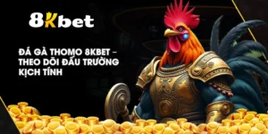 Đá Gà Thomo 8KBET – Theo dõi đấu trường kịch tính