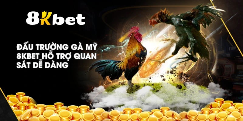 Đấu Trường Gà Mỹ 8KBET hỗ trợ quan sát dễ dàng