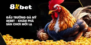 Đấu Trường Gà Mỹ 8KBET – Khám phá sân chơi mới lạ